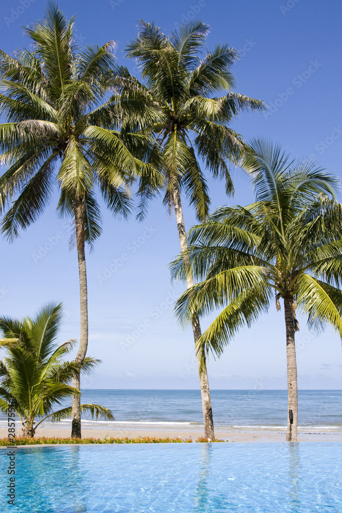 Beautiful tropical beach