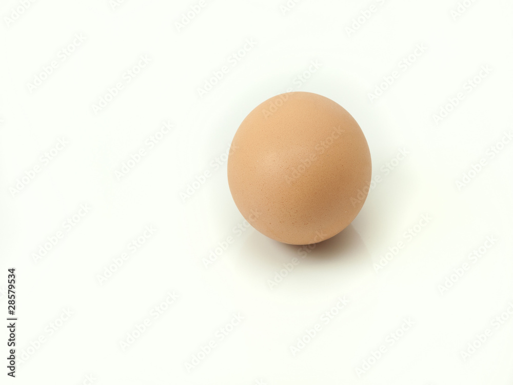 egg