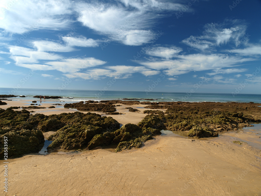 Algarve coast at low tide the ocean .