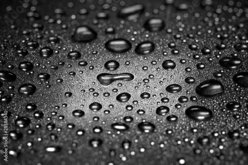 Water droplets , dramatic lighting , shallow depth of field