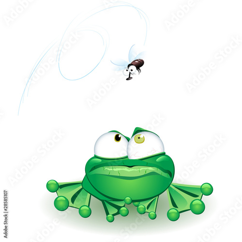 Frog with flie