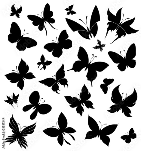 Set of butterflies