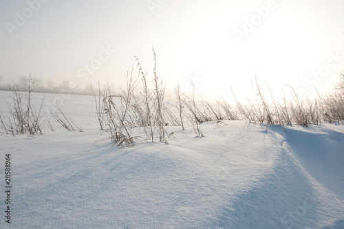 wintertime landscape