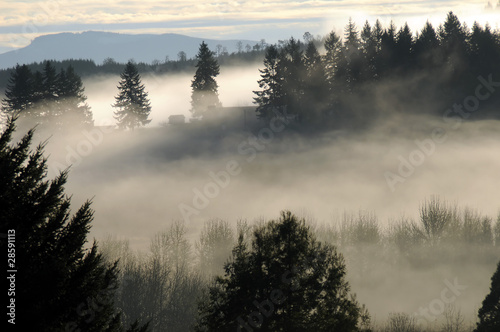 Fog falls over the mountain