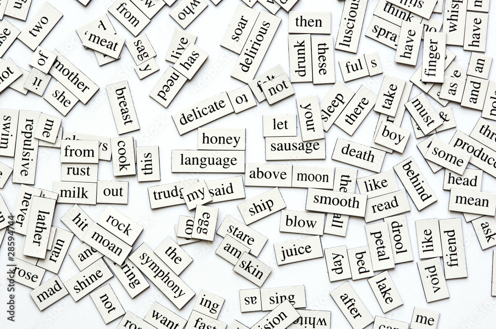 Assorted Magnetic Words