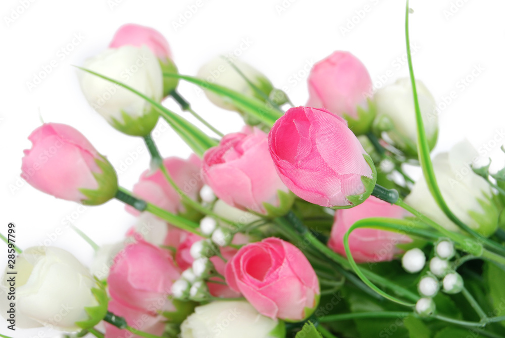 Obraz premium Flower