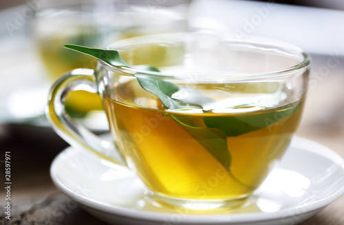 Zielona herbata