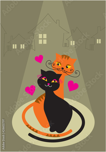 love cats