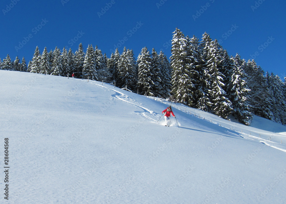 Skifahren in traumhafter Winterlandschaft