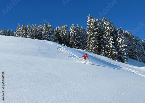 Skifahren in traumhafter Winterlandschaft