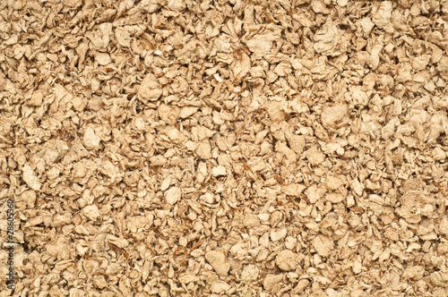 background made of small animal bedding