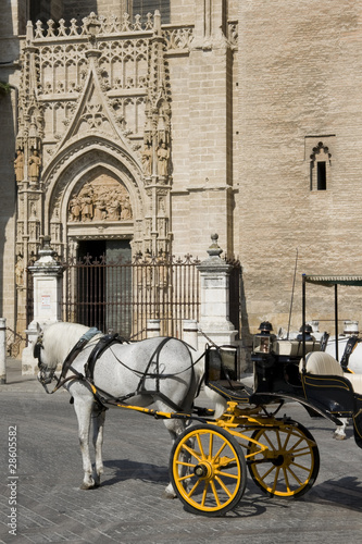 Seville - Tourist horse carriage
