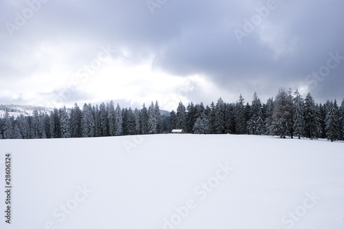 verschneite Hütte im  Winterwald © by-studio