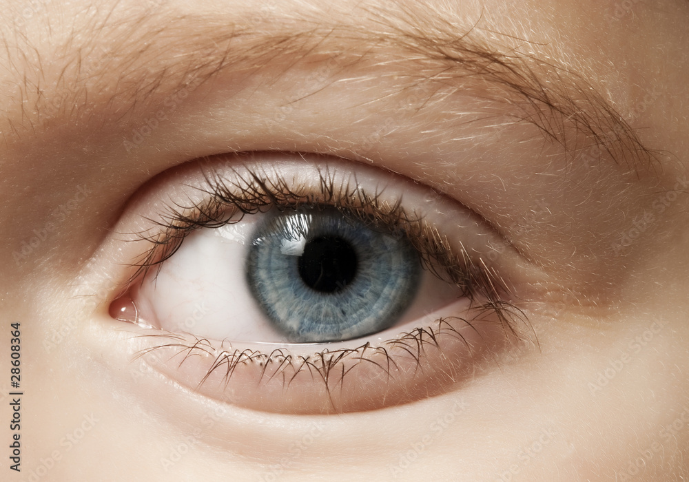 Naklejka premium młode oko