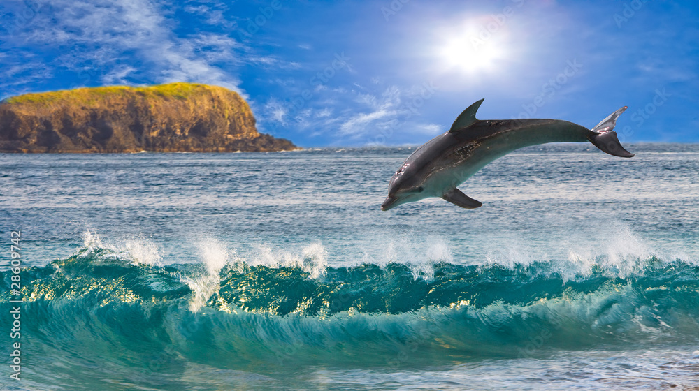Papier Peint Lavable Le dauphin saute des vagues à l&#39;océan -  Nikkel-Art.fr