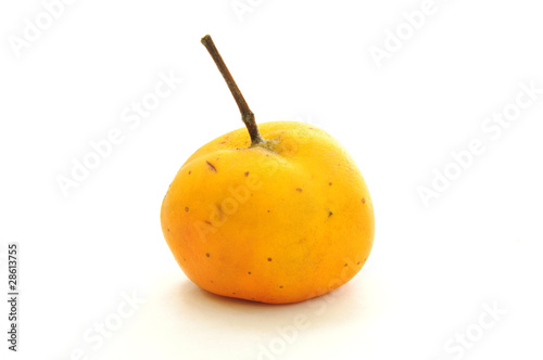 Tejocote fruit photo