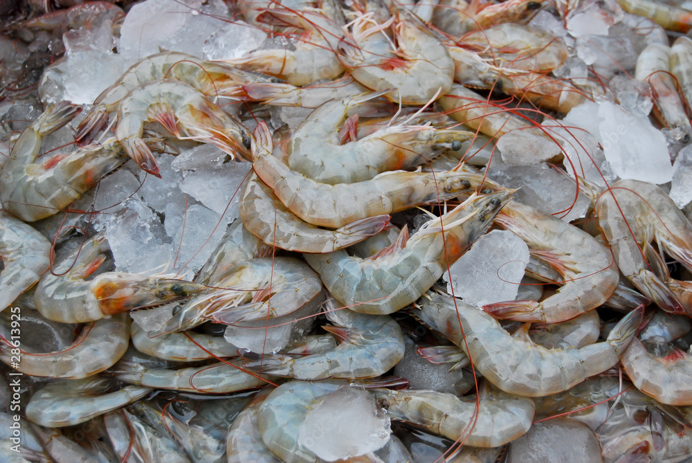 raw fresh shrimp in market