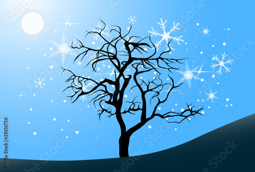 Tree in the full moon night, vector illustration © archipoch