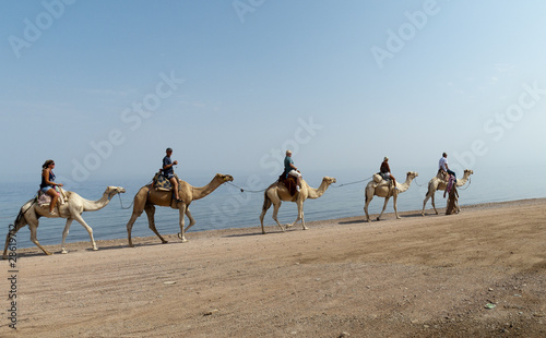 Obraz na płótnie Egypt w salonie