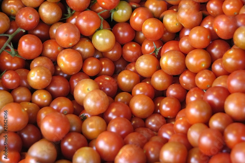 Tomates cherry photo