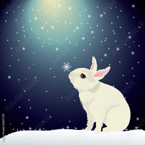 Cute bunny in snow