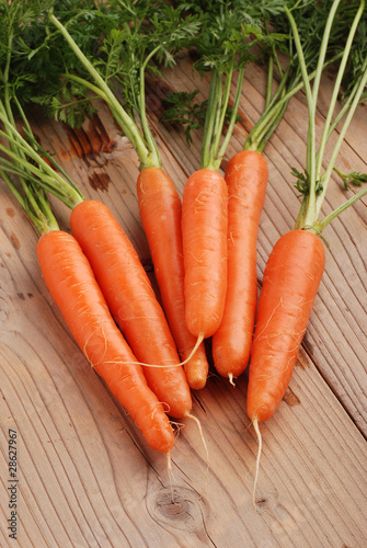 carote uno