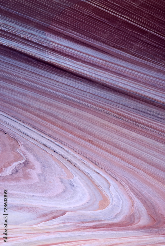 Obraz premium Paria Canyon. Arizona
