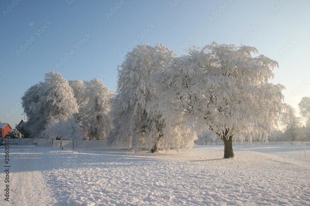 Obraz premium winter 4