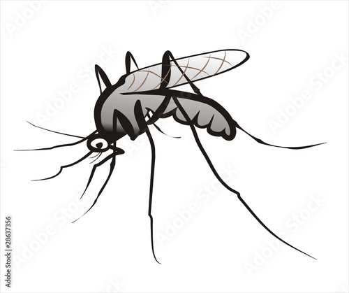 mosquito isolated sketch in black lines