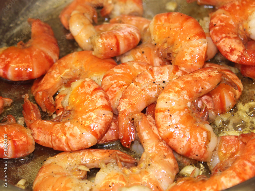 Scampi, Garnelen Scampi, Garnelen