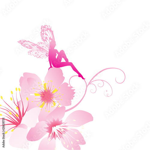 pink fairy on the flowers vector