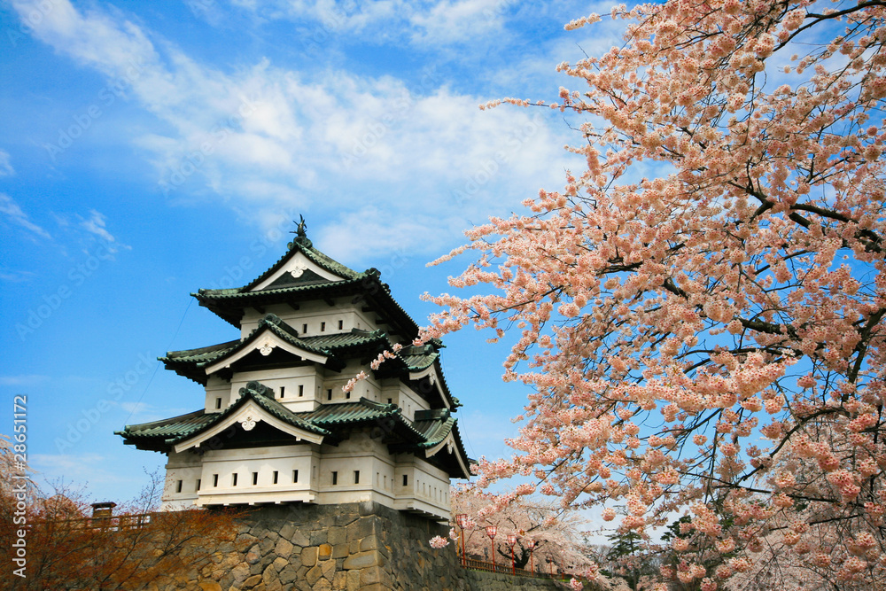 Japanese Castle in Spring with Cherry Blossoms Japanese Castle in Spring with Cherry Blossoms