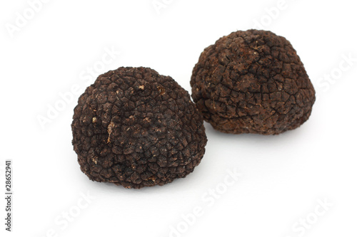 Quadro em tela truffle