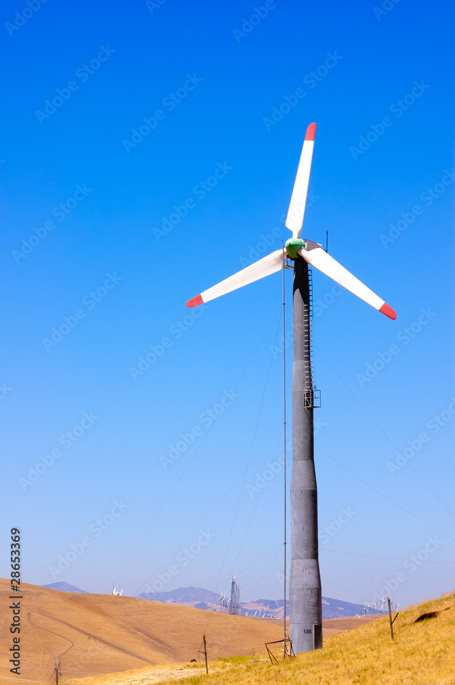 wind farm