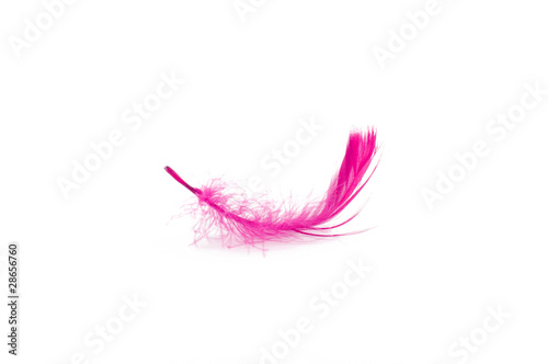 feather