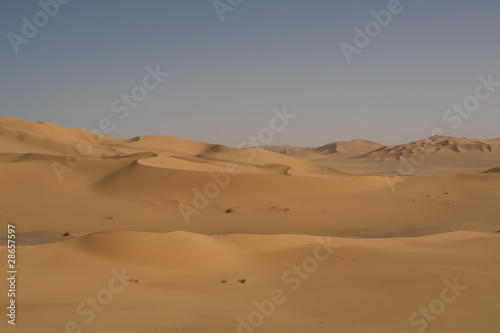Dans les dunes de Tittersine