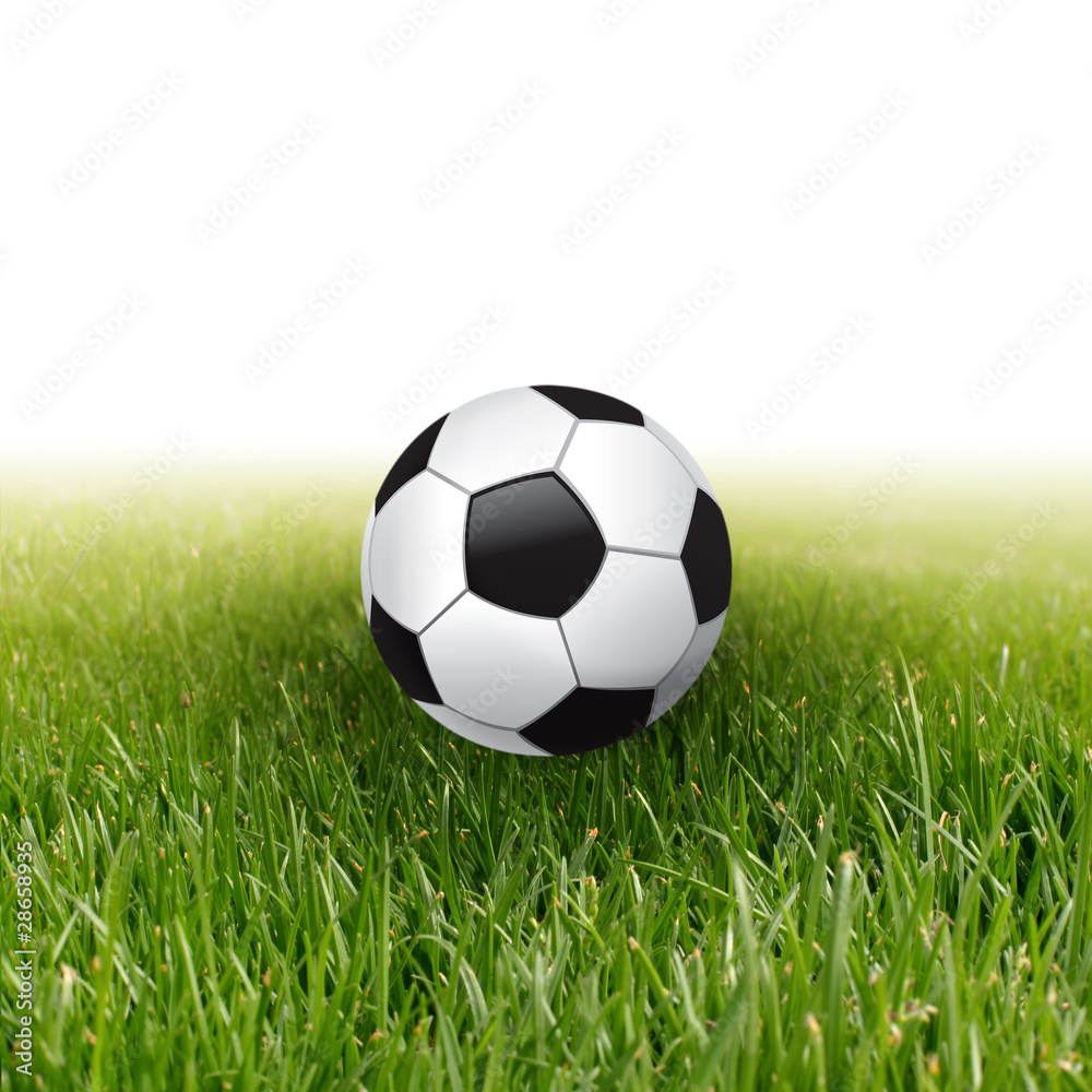 soccer ball and green grass