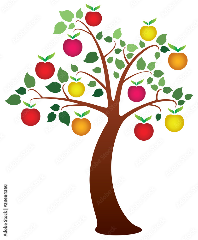 vector apple tree with fruits