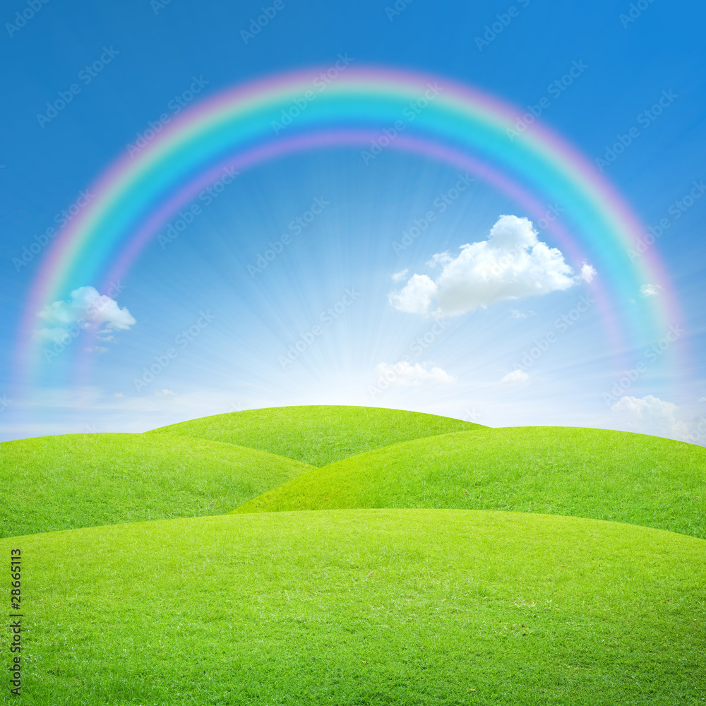 Green field with blue sky and perfect rainbow