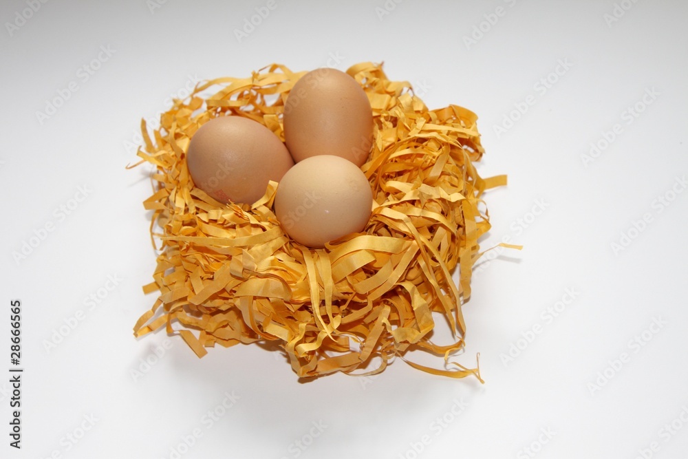 oeufs de poule oeufs de poule