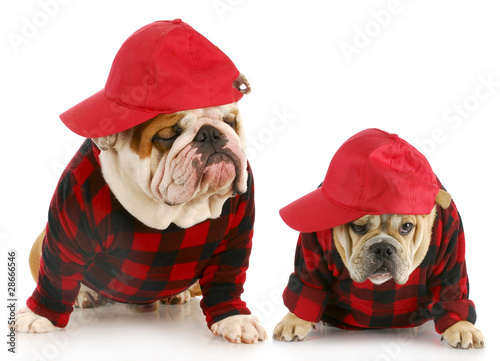Canvas Print father and son dogs