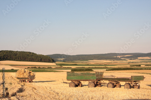 harvested field