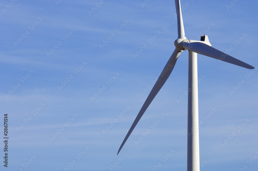windmill windmill