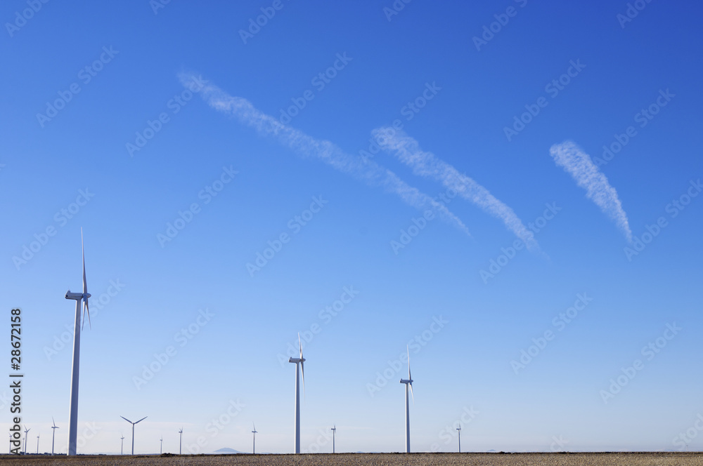 Fototapeta premium wind energy