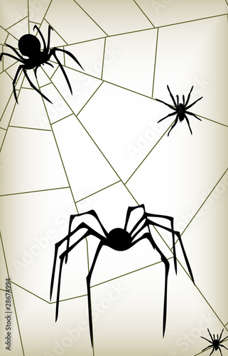 Spider two vector silhouettes background