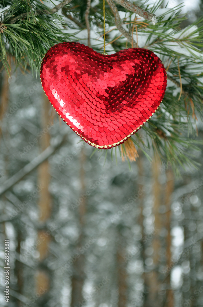 Fototapeta premium Heart, Valentine's Day, volume
