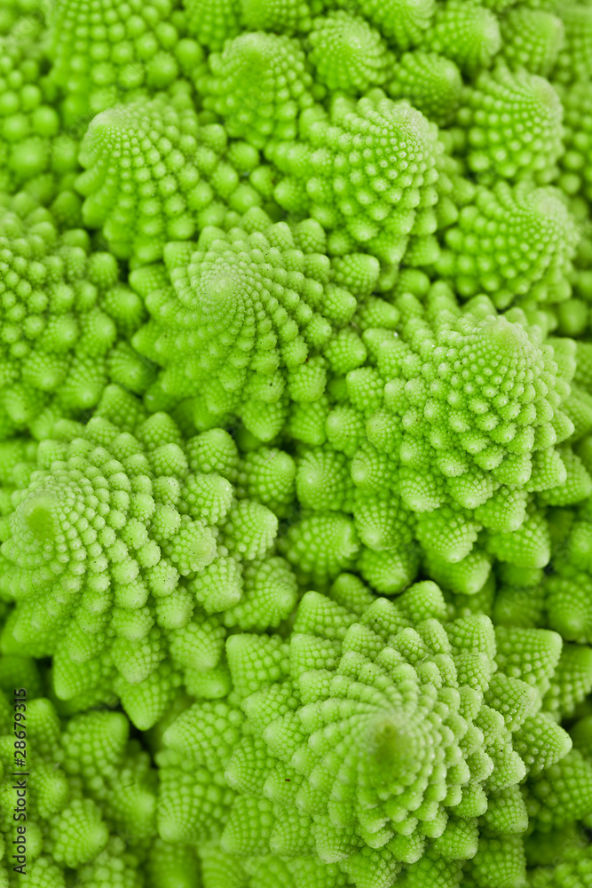 Macro photo of fresh Romanesco Macro photo of fresh Romanesco