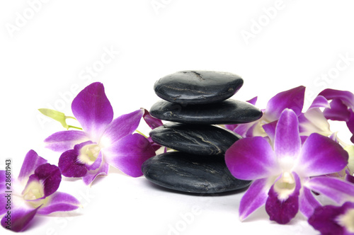 pink orchid with stacked of stones