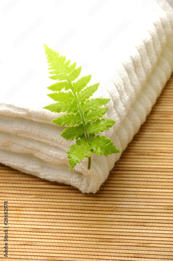 Fern leaf on white towel Fern leaf on white towel