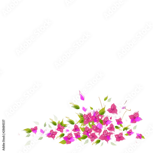 Flower, vector background